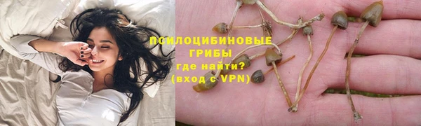 молекула духа Кинешма
