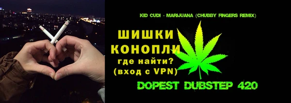 молекула духа Кинешма