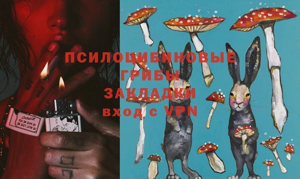 молекула духа Кинешма