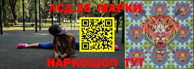 гидропоника Донской