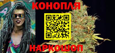 сатива Бузулук