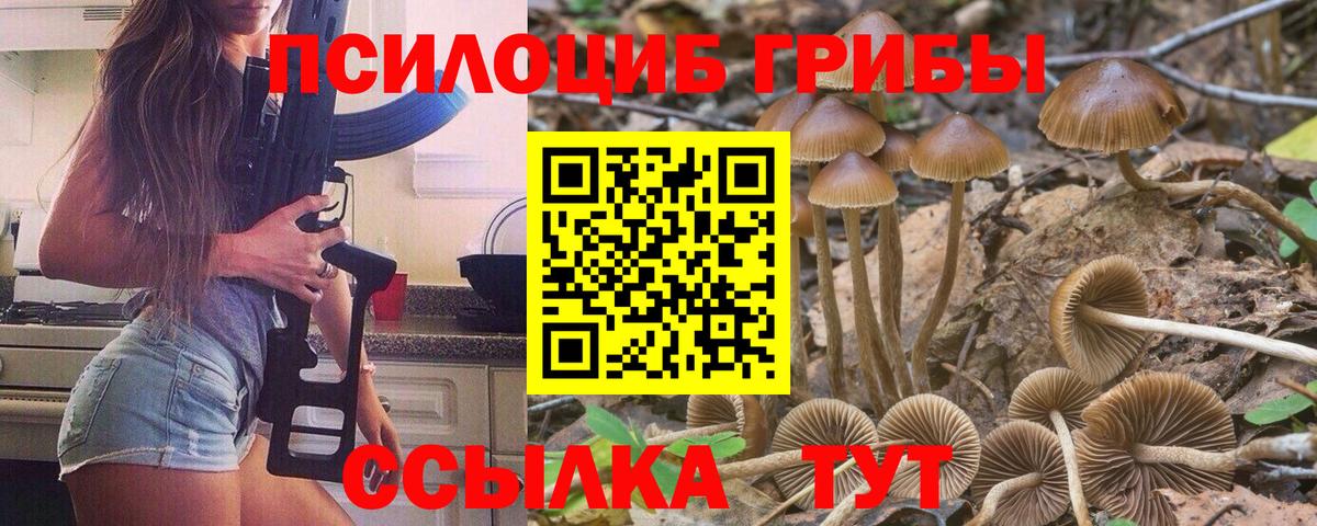 Псилоцибиновые грибы мицелий  Вход с VPN  Ставрополь  Псилоцибиновые грибы мицелий 